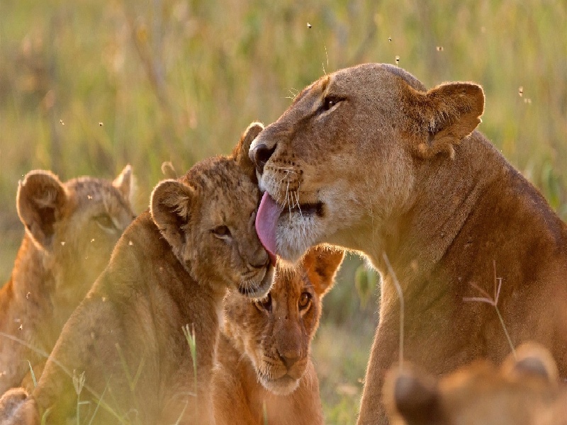 <strong>心疼老婆做试管（没有老公想做试管）</strong>